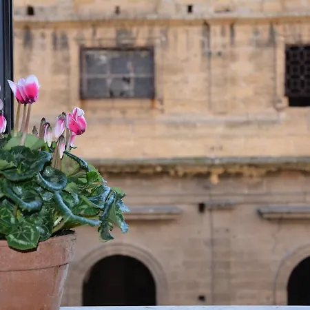 My Way - - - Palazzo San Matteo 4*